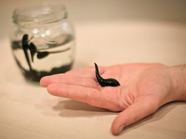 aplicação para o tratamento da artrose da articulação do joelho